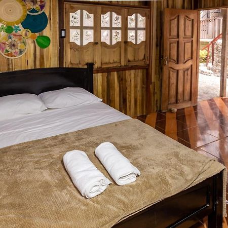 Deep Forest Posadas Ecoturisticas Zaino Kültér fotó