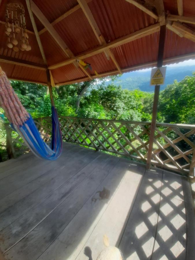 Deep Forest Posadas Ecoturisticas Zaino Kültér fotó