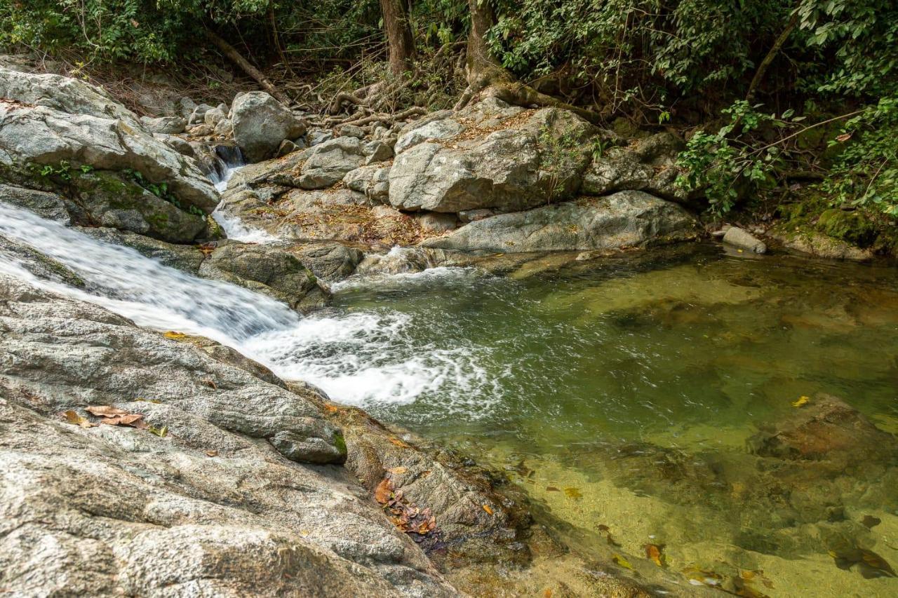 Deep Forest Posadas Ecoturisticas Zaino Kültér fotó