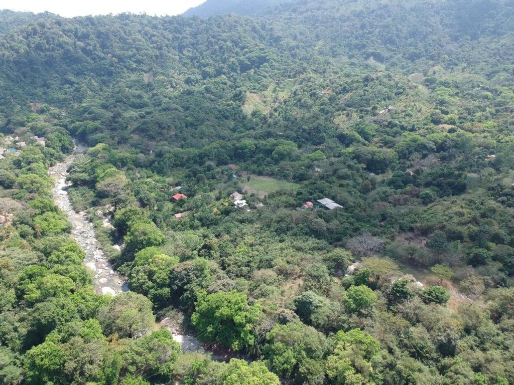 Deep Forest Posadas Ecoturisticas Zaino Kültér fotó