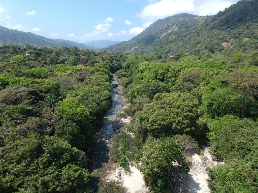 Deep Forest Posadas Ecoturisticas Zaino Kültér fotó