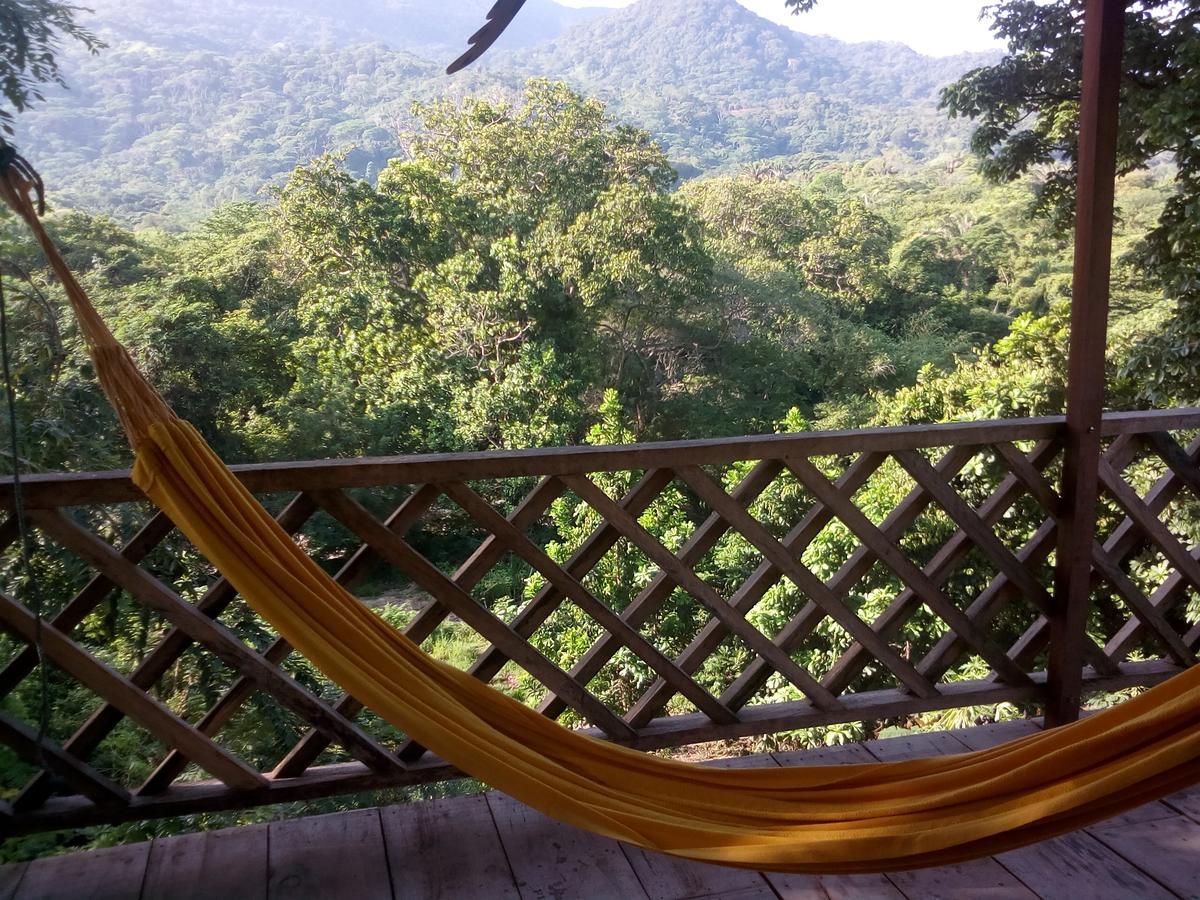 Deep Forest Posadas Ecoturisticas Zaino Kültér fotó