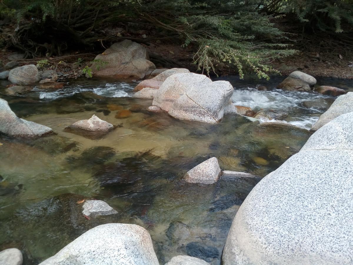 Deep Forest Posadas Ecoturisticas Zaino Kültér fotó