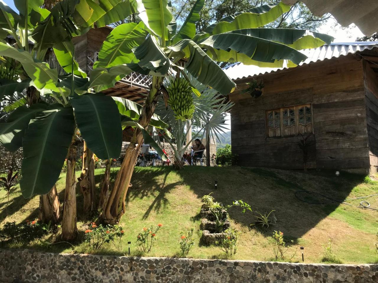 Deep Forest Posadas Ecoturisticas Zaino Kültér fotó