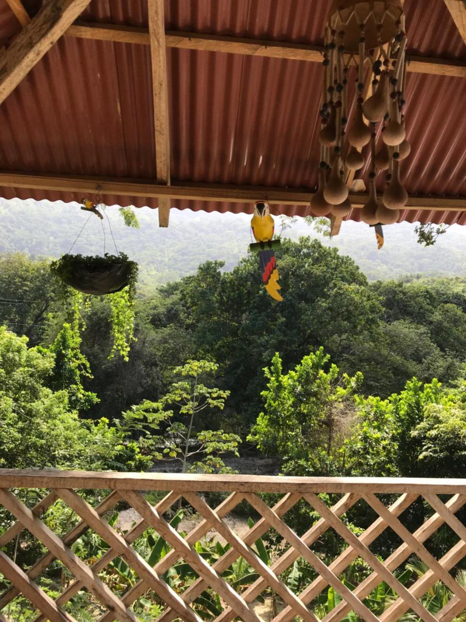 Deep Forest Posadas Ecoturisticas Zaino Kültér fotó